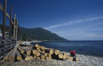 Person sitting on length of cut timber on lake shore.