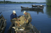 Fishermen in wooden rowing boat with catch.