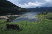 Tree covered lower slopes with cut timber floating on Lake Bicaz in the foreground.