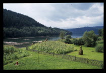 Tree covered lower slopes with Lake Bicaz in the foreground.