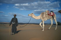 Bedouin man leading camel across sand.