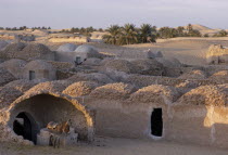 Traditional mud architecture with donkey in foreground.