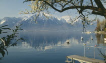 Boat jetty and overhaning tree on shore of Lake Geneva with mountain backdrop reflected in surface.Lake Leman