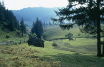 Agricultural landscape with horse drawn haycart and stacks.