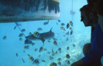 Ringiroa.  Visitors watchng fish in aquarium.