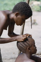 Pygmy woman checking her daughters hair for head lice.Zaire Congo  Nomadic forest dwelling Twa people