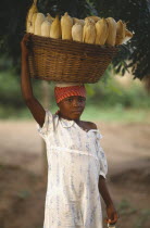 Young girl carrying large basket of maize on her head.