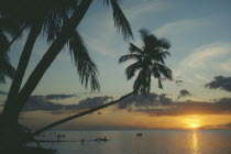 Beach with palm trees back lit by setting sun.