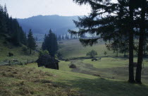 Carpathian Mountains.