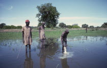 Dinka men making votive offering of milk in sacred pond.