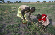 Dinka mother and young daughter working together in fields.