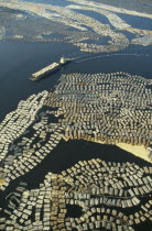 Large expanse of cut timber from logging industry floating on lake surface.