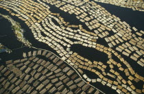 Large expanse of cut timber from logging industry floating on lake surface.