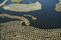 Large expanse of cut timber from logging industry floating on lake surface.