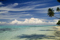 Moorea.  Beach and overhanging palms with dramatic cloudscape.