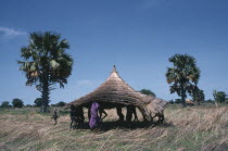 Dinka tribe carrying thatched roof for cattle camp hut.