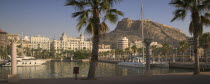 Panoramic view of Castillo de Santa Barbera from the port with palm trees in the foreground.  MediterraneanTravelTourismHolidaysPanoramaYacht