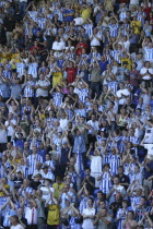 Brighton and Hove Albion supporters at the Madejski Stadium Reading