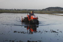 Mrs. Katsumata  over 70 years old  drives tractor preparing rice field in springMR