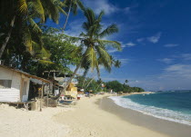 Narrow sandy beach lined with vegetation and overhanging palm trees with restaurants internet cafe and other buildings.