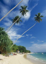 Narrow strip of sandy beach lined with vegetation and overhanging palm trees moored boats and partly seen buildings.