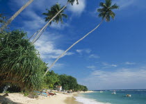 Narrow strip of sandy beach lined with vegetation and overhanging palm trees moored boats and partly seen buildings.