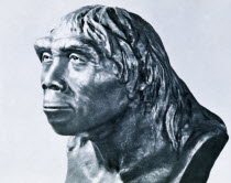 Artists impression of head of Peking Man