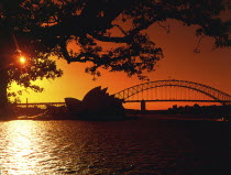 Opera House at sunset seen through trees