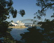 Harbour Bridge and Opera House seen through trees from the Royal Botanic Gardens