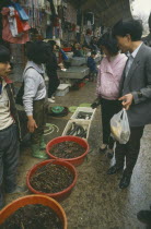 Eels in Market