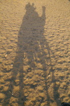 Silhouette in sand of Camel and Rider