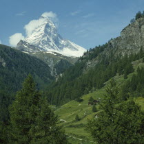 The snow capped Matterhorn towering above a green valley