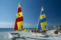 Hobbie Cats with bright blue  red and yellow sails pulled up onto sandy beach.