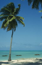 Jambiani Beach.  Empty beach with boats moored offshore and palm trees in foreground.