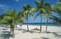 Palm trees and volleyball net on quiet white sand beach.