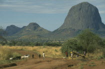 Rural bus stop on unmade road with large domed rock formation behind and cattle with herder in foreground.