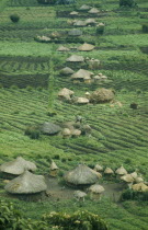 Small thatched farmsteads and cultivated land.