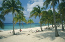 Sandy beach with people sunbathing amongst palm trees looking out over calm turquoise sea.