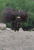 Hill dwellers carrying brush wood.