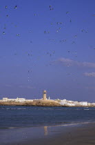 Fort with sea-gulls and beach in the foreground.