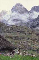 Two Ica Indian brothers talking  with hut and mountains behind.