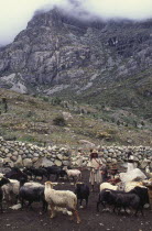 Ica family with sheep in coral  rocks and mountain in the background.