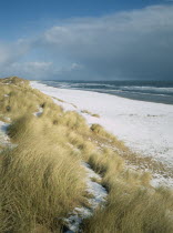 View north east along snow covered beach with tussocks of grass growing over dune in the foreground.