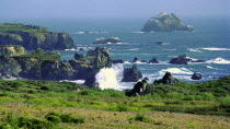 View of the coastline that runs alongside Highway 1