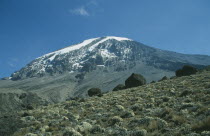 Snow covered peak of Kilimanjaro with alpine desert plants in the foreground.5895 m