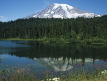 Snow capped Mount Rainer seen over Reflections Lake.