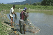 Two men with fish caught in a net at the fish farm project