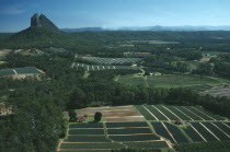 Landscape with cultivated fields interspersed by dense forest.