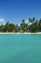 Coconut palm tree lined beach with thatched sun shades and tourists seen from the sea