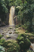 Diamond Waterfalls falling into river bed lined with lush green foliage